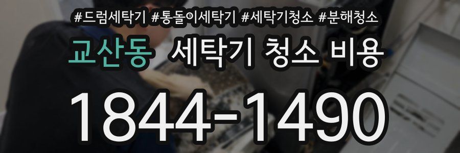 교산동 세탁기 청소 비용