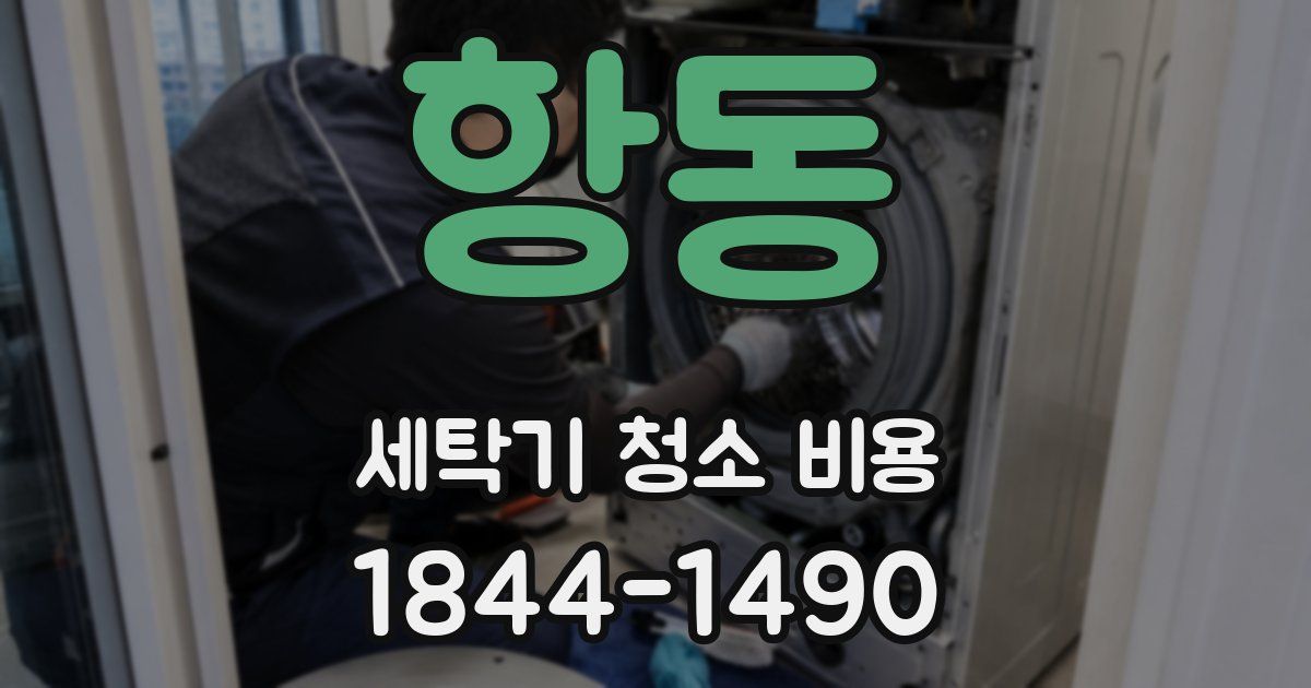 항동 세탁기 청소 비용