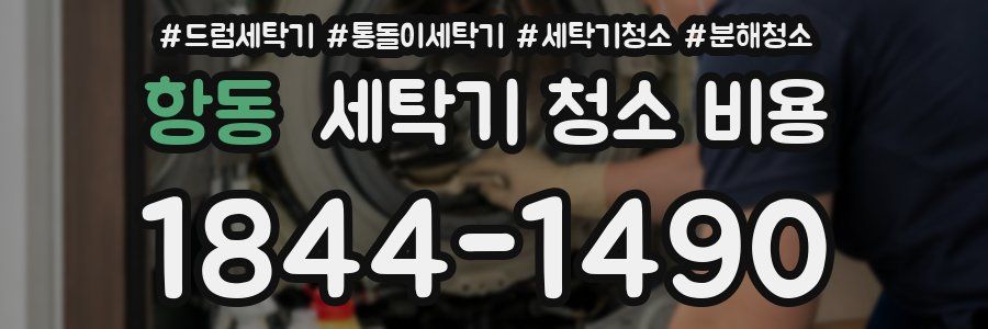 항동 세탁기 청소 비용