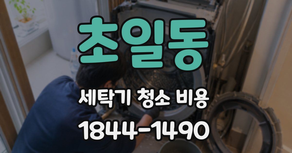 초일동 세탁기 청소 비용