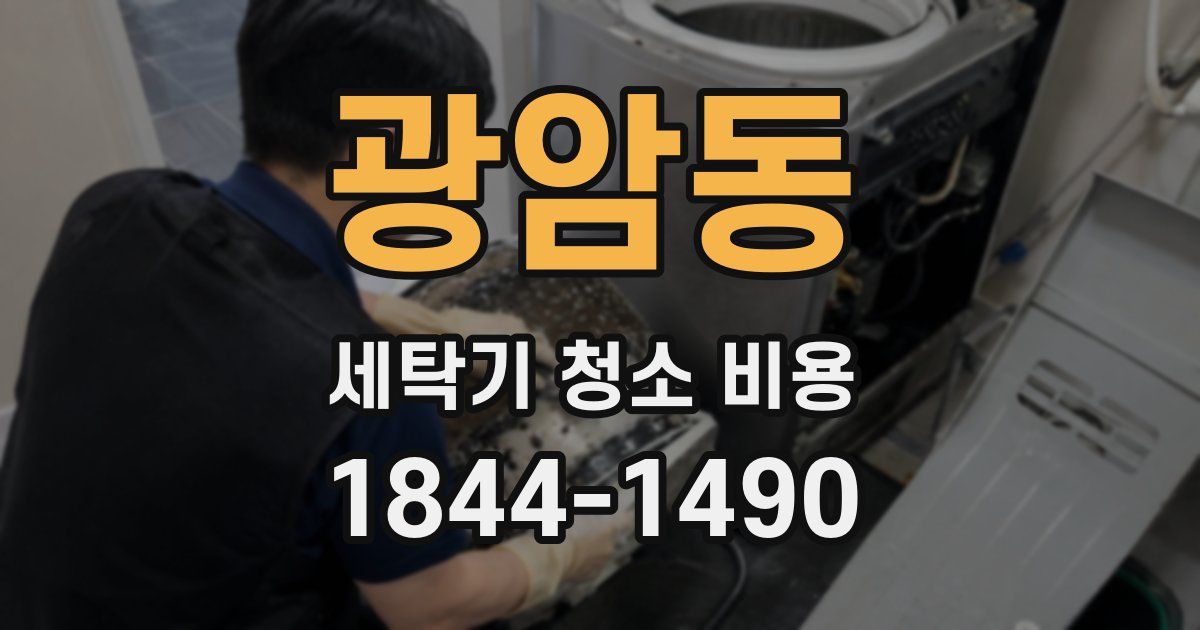 광암동 세탁기 청소 비용