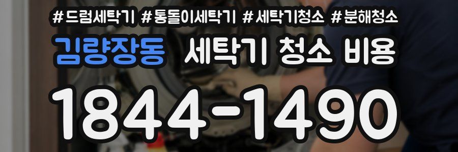 김량장동 세탁기 청소 비용