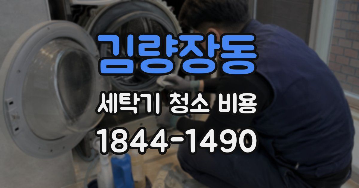 김량장동 세탁기 청소 비용