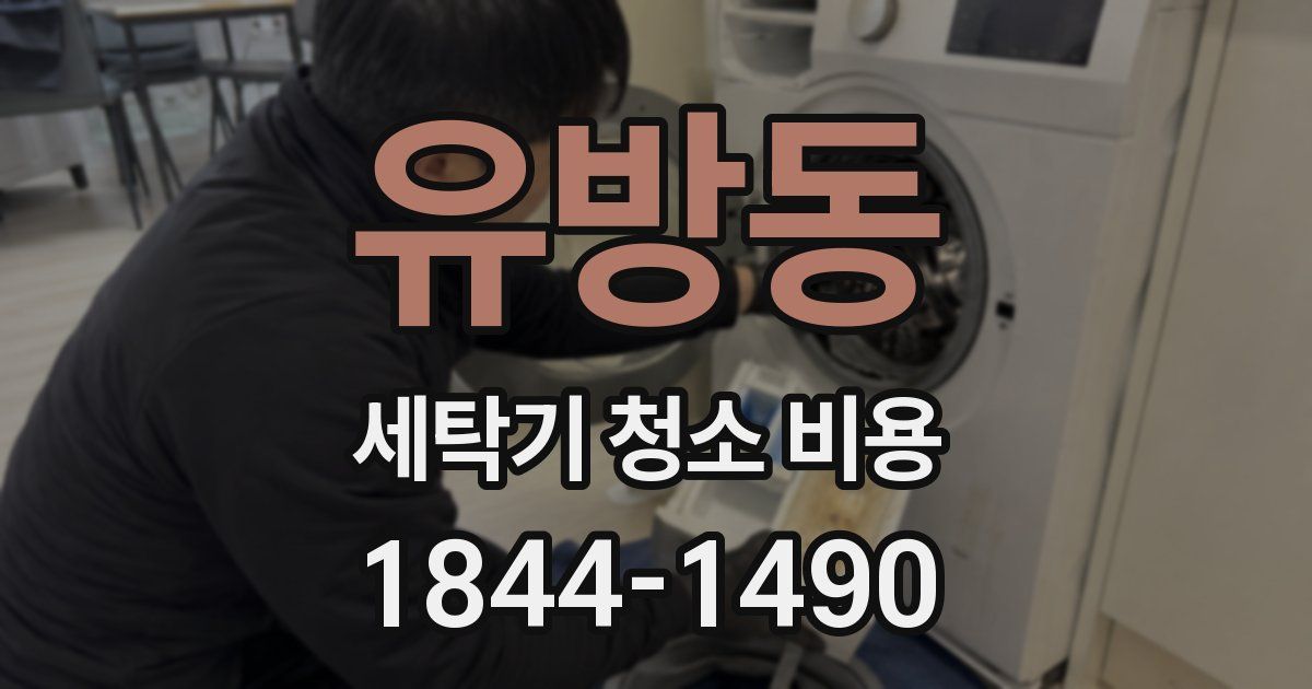 유방동 세탁기 청소 비용