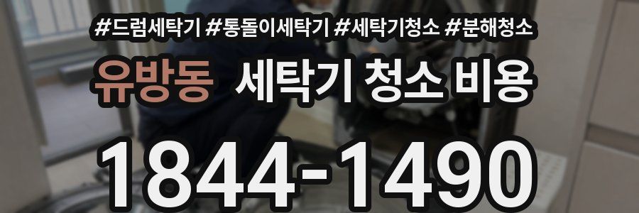 유방동 세탁기 청소 비용