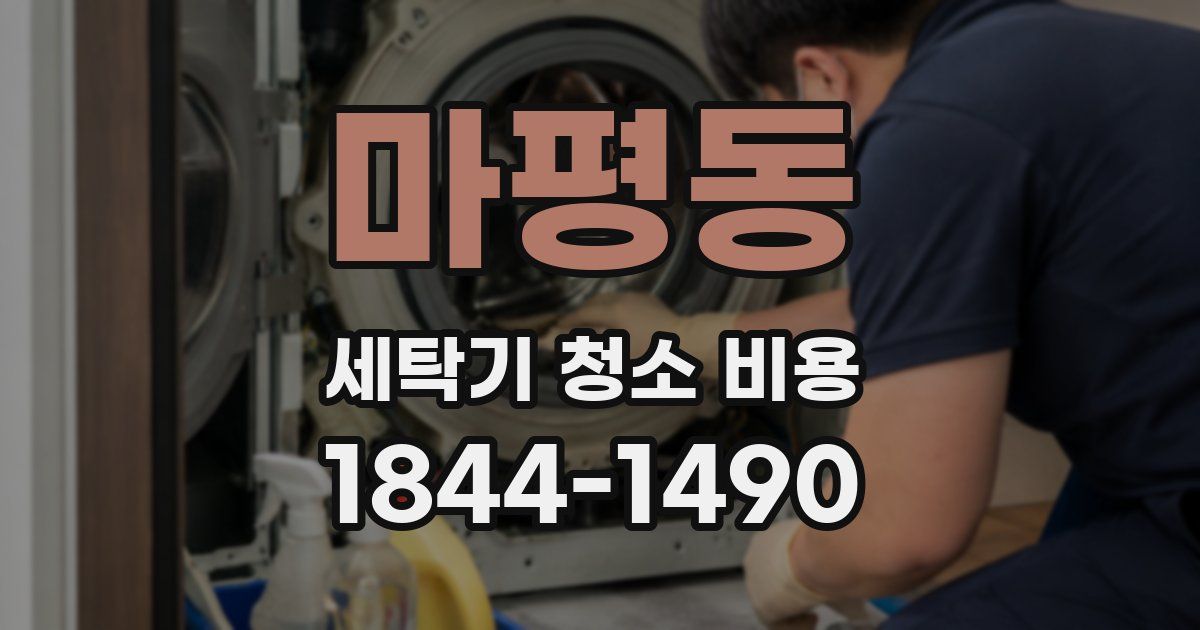마평동 세탁기 청소 비용