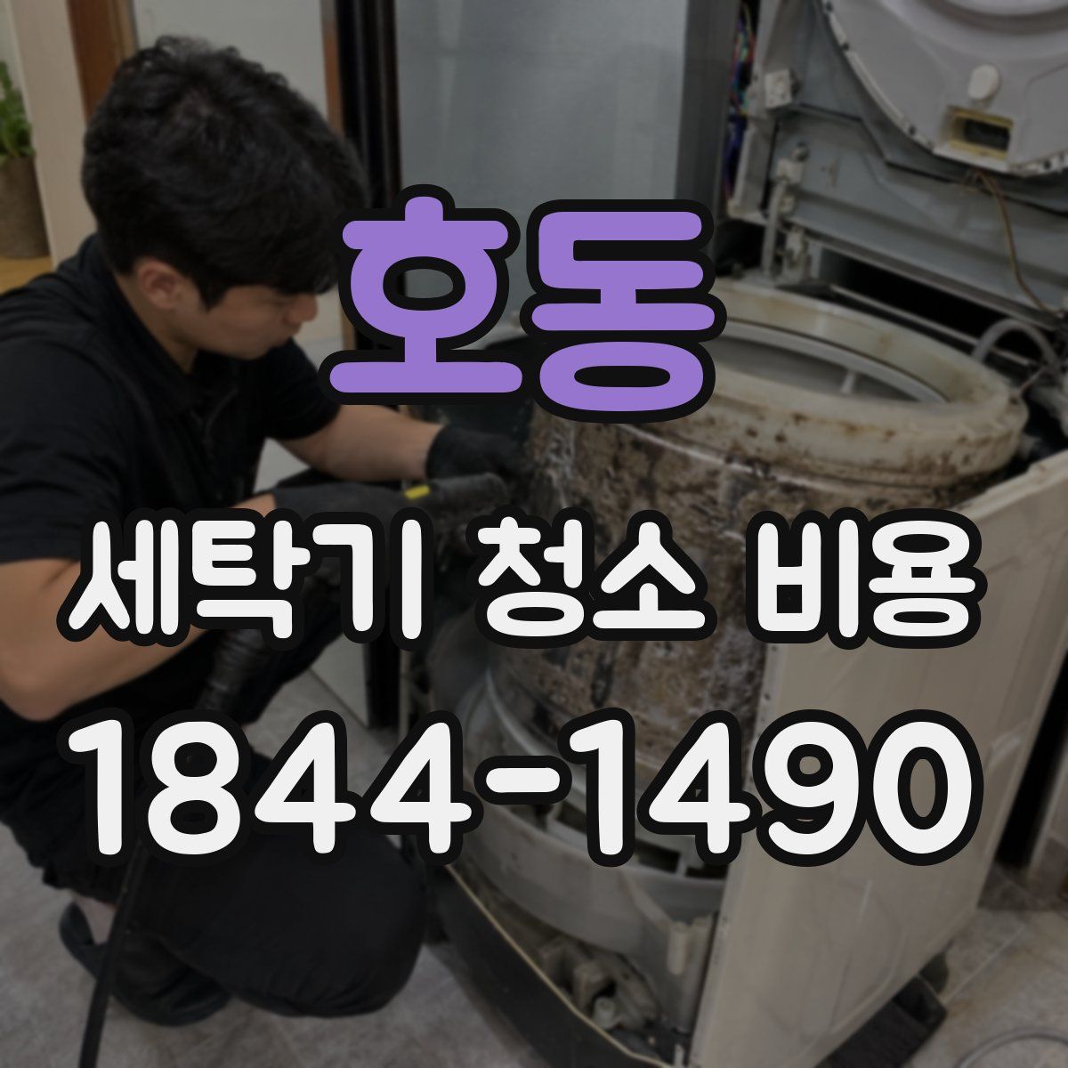 호동 세탁기 청소 비용