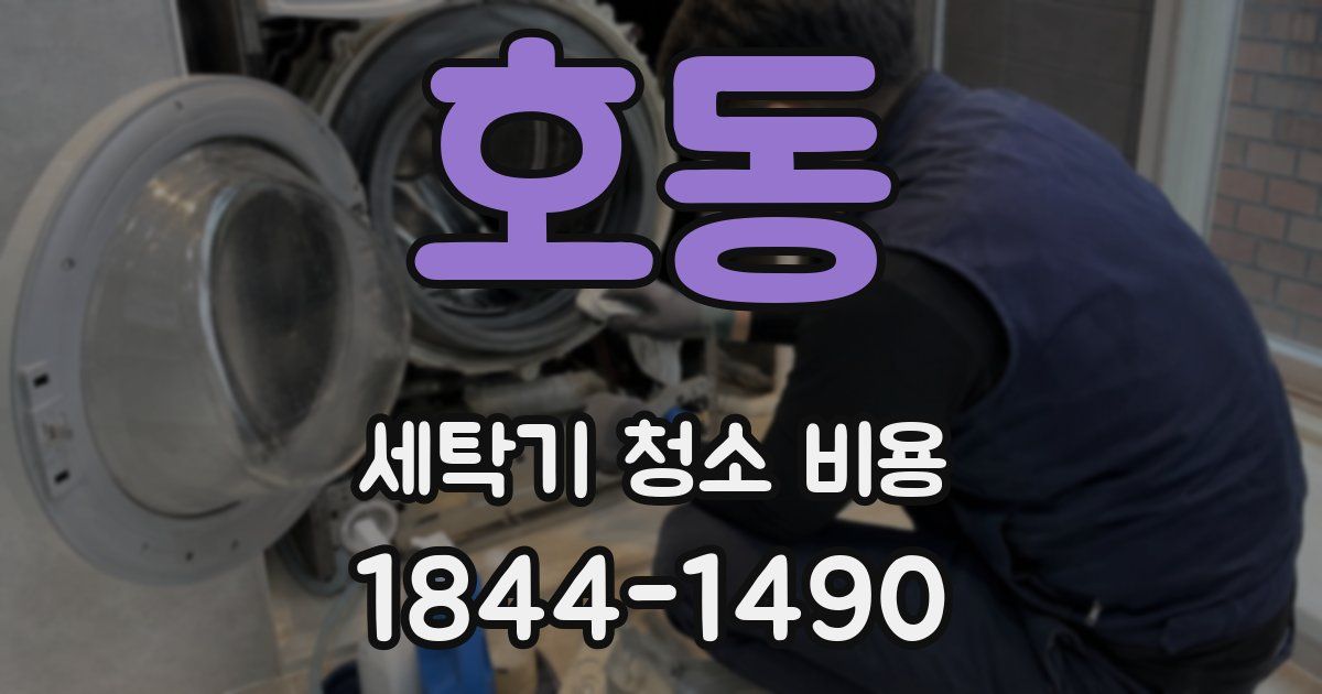 호동 세탁기 청소 비용