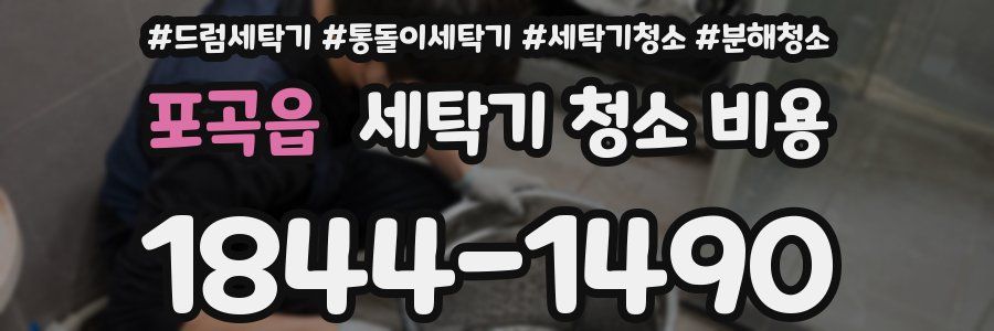 포곡읍 세탁기 청소 비용