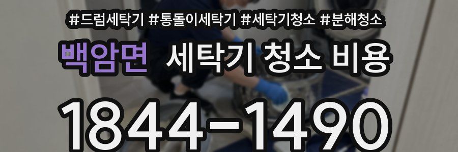 백암면 세탁기 청소 비용