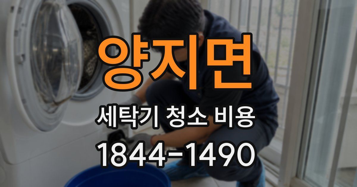 양지면 세탁기 청소 비용