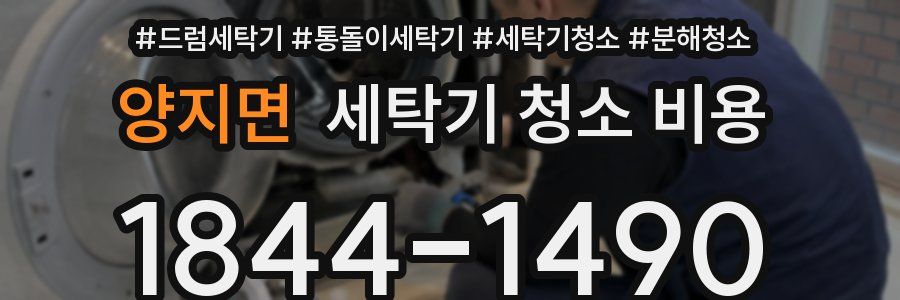 양지면 세탁기 청소 비용