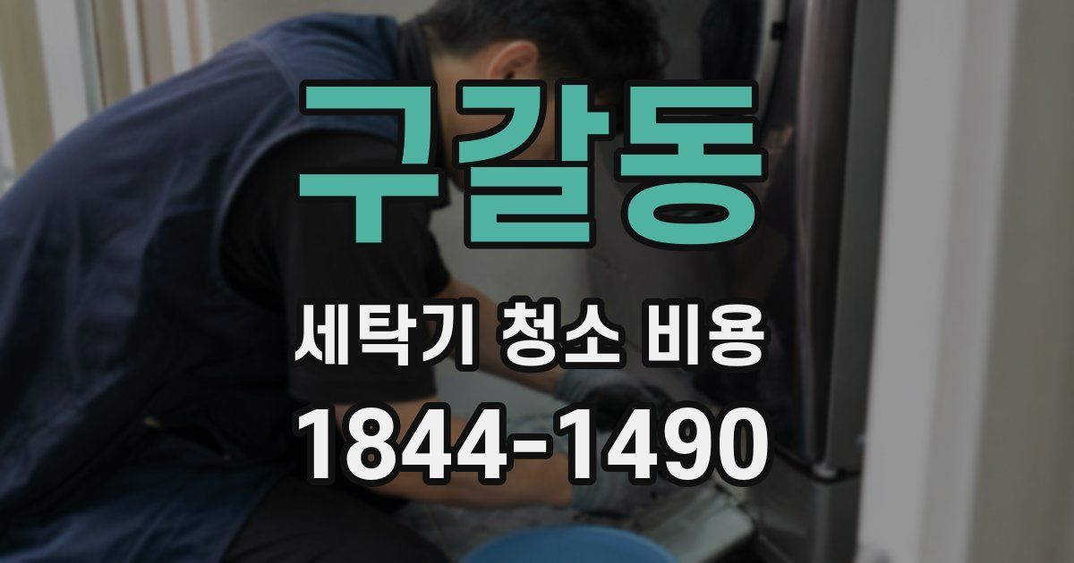 구갈동 세탁기 청소 비용