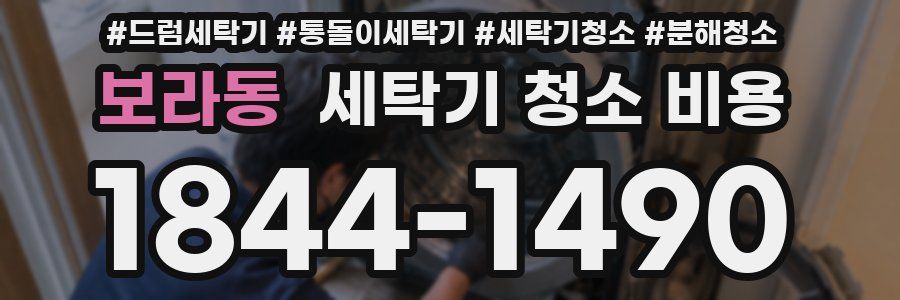 보라동 세탁기 청소 비용