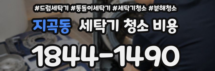지곡동 세탁기 청소 비용