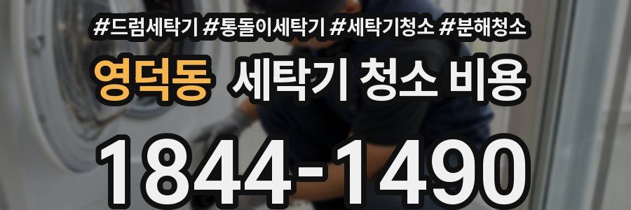 영덕동 세탁기 청소 비용