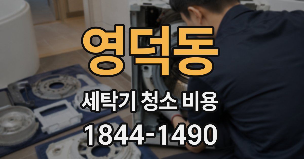 영덕동 세탁기 청소 비용