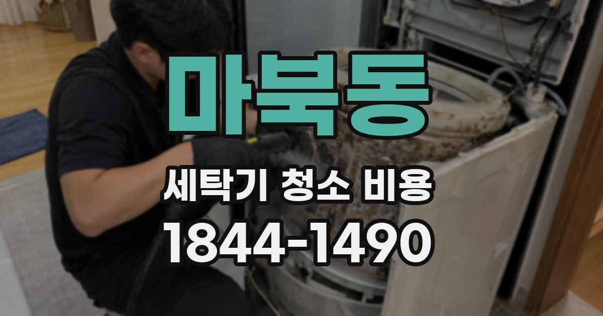 마북동 세탁기 청소 비용