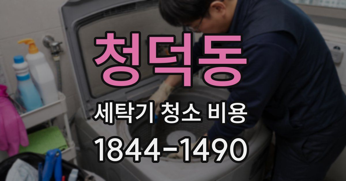 청덕동 세탁기 청소 비용
