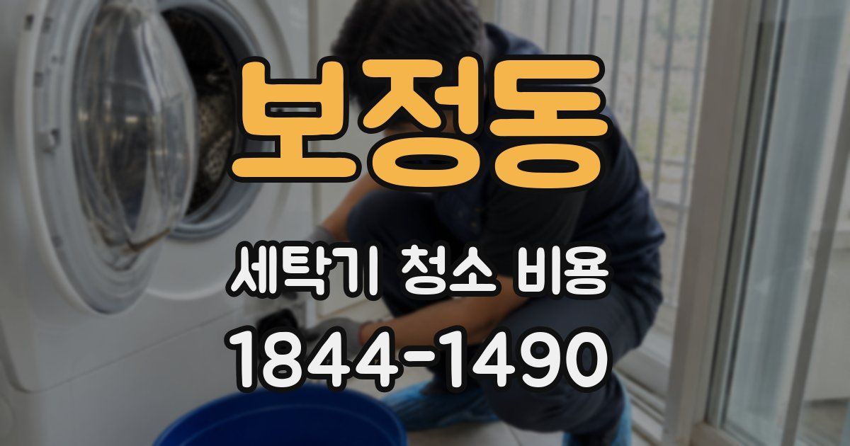보정동 세탁기 청소 비용