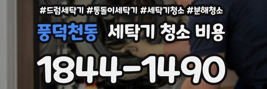 풍덕천동 세탁기 청소 비용
