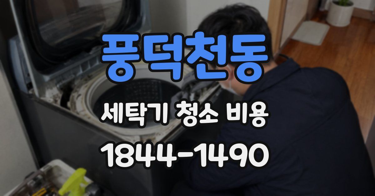 풍덕천동 세탁기 청소 비용