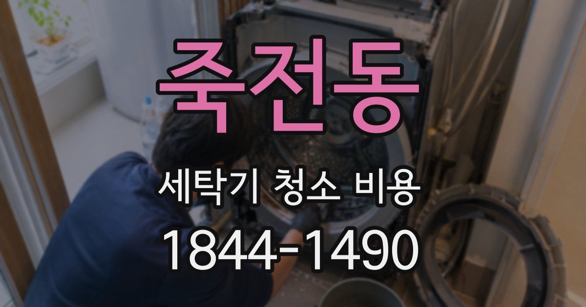죽전동 세탁기 청소 비용