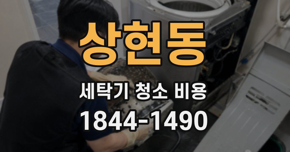 상현동 세탁기 청소 비용