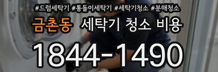 금촌동 세탁기 청소 비용