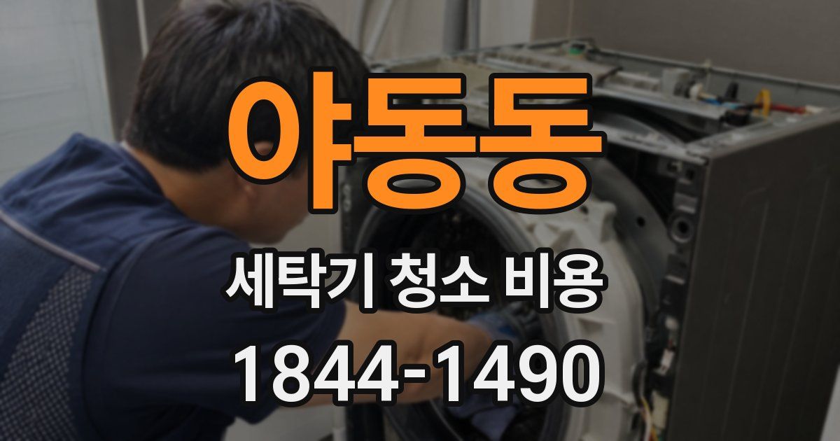 야동동 세탁기 청소 비용