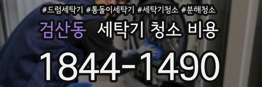 검산동 세탁기 청소 비용