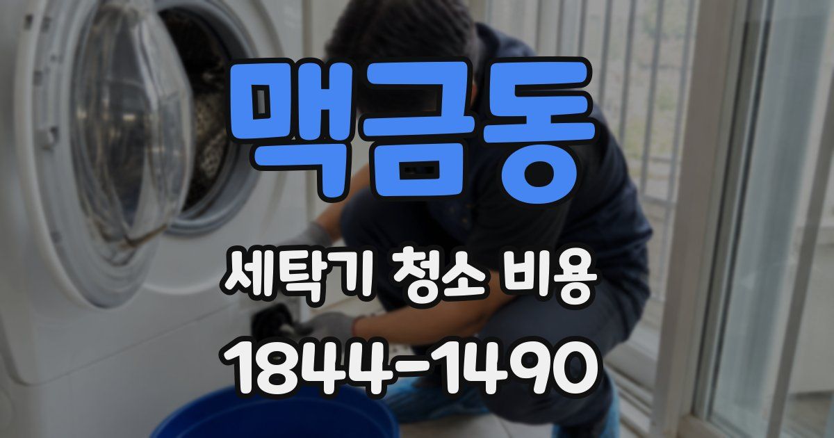 맥금동 세탁기 청소 비용