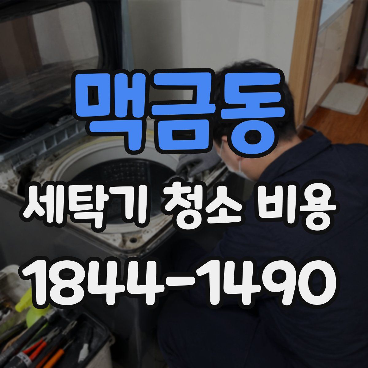 맥금동 세탁기 청소 비용