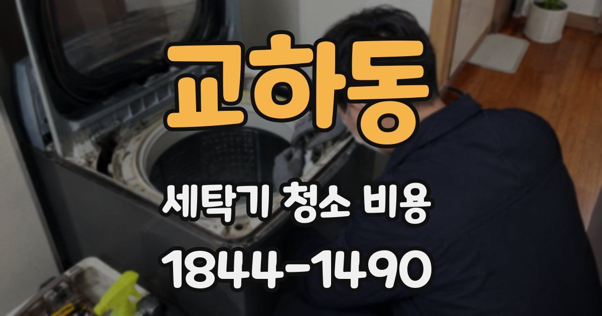 교하동 세탁기 청소 비용