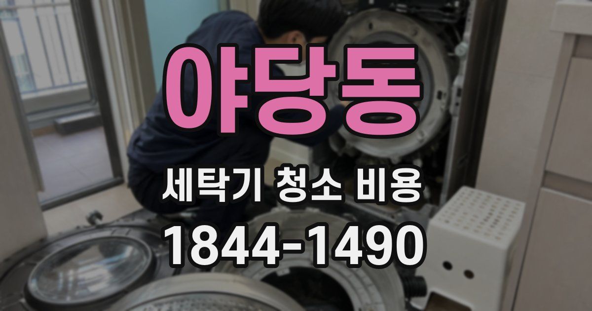야당동 세탁기 청소 비용
