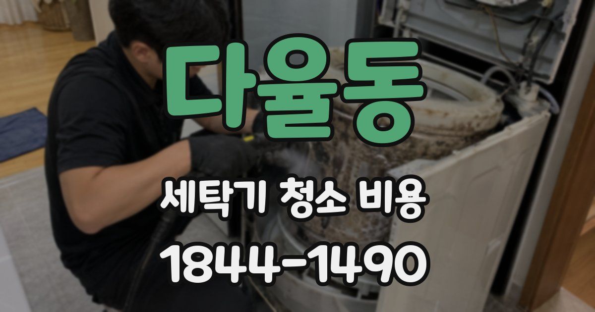 다율동 세탁기 청소 비용