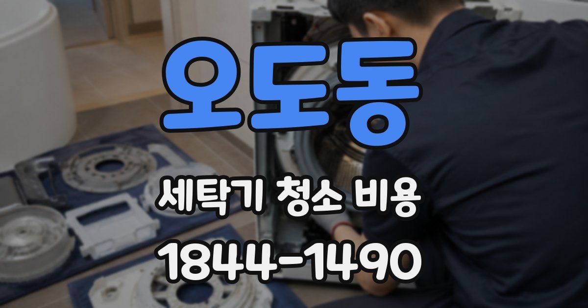 오도동 세탁기 청소 비용