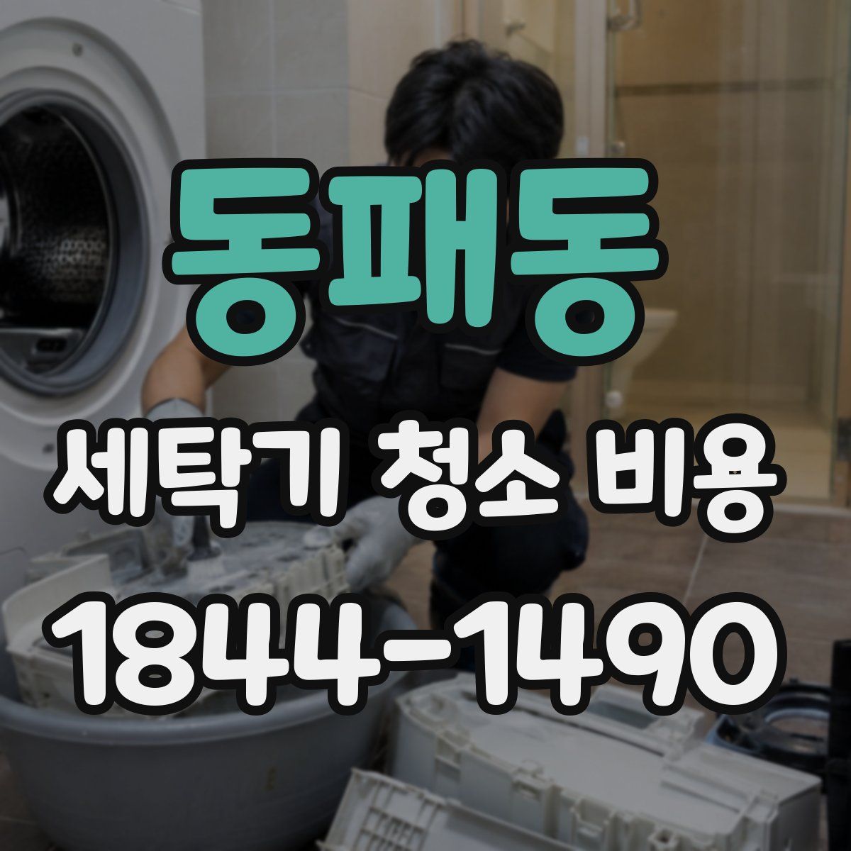 동패동 세탁기 청소 비용
