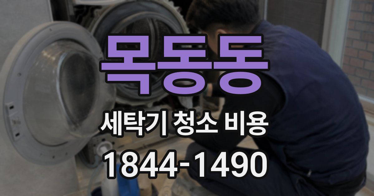 목동동 세탁기 청소 비용