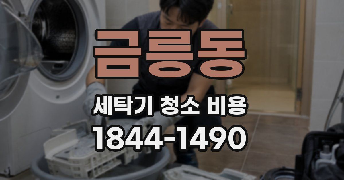 금릉동 세탁기 청소 비용