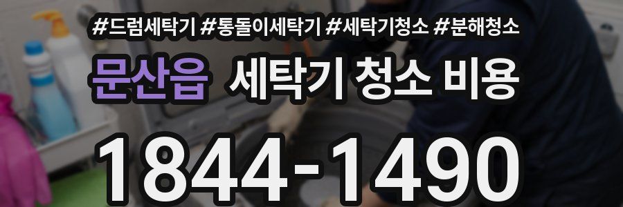 문산읍 세탁기 청소 비용