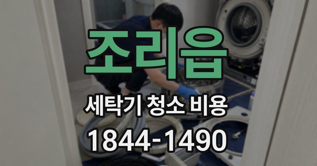 조리읍 세탁기 청소 비용