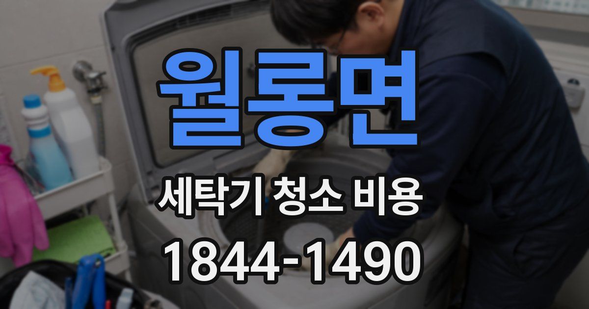 월롱면 세탁기 청소 비용