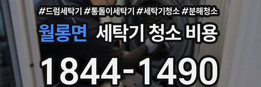 월롱면 세탁기 청소 비용