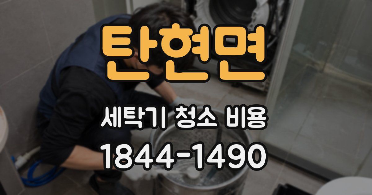 탄현면 세탁기 청소 비용