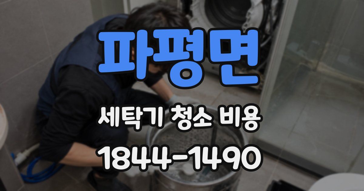 파평면 세탁기 청소 비용