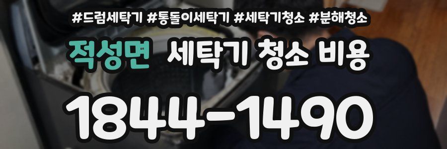 적성면 세탁기 청소 비용