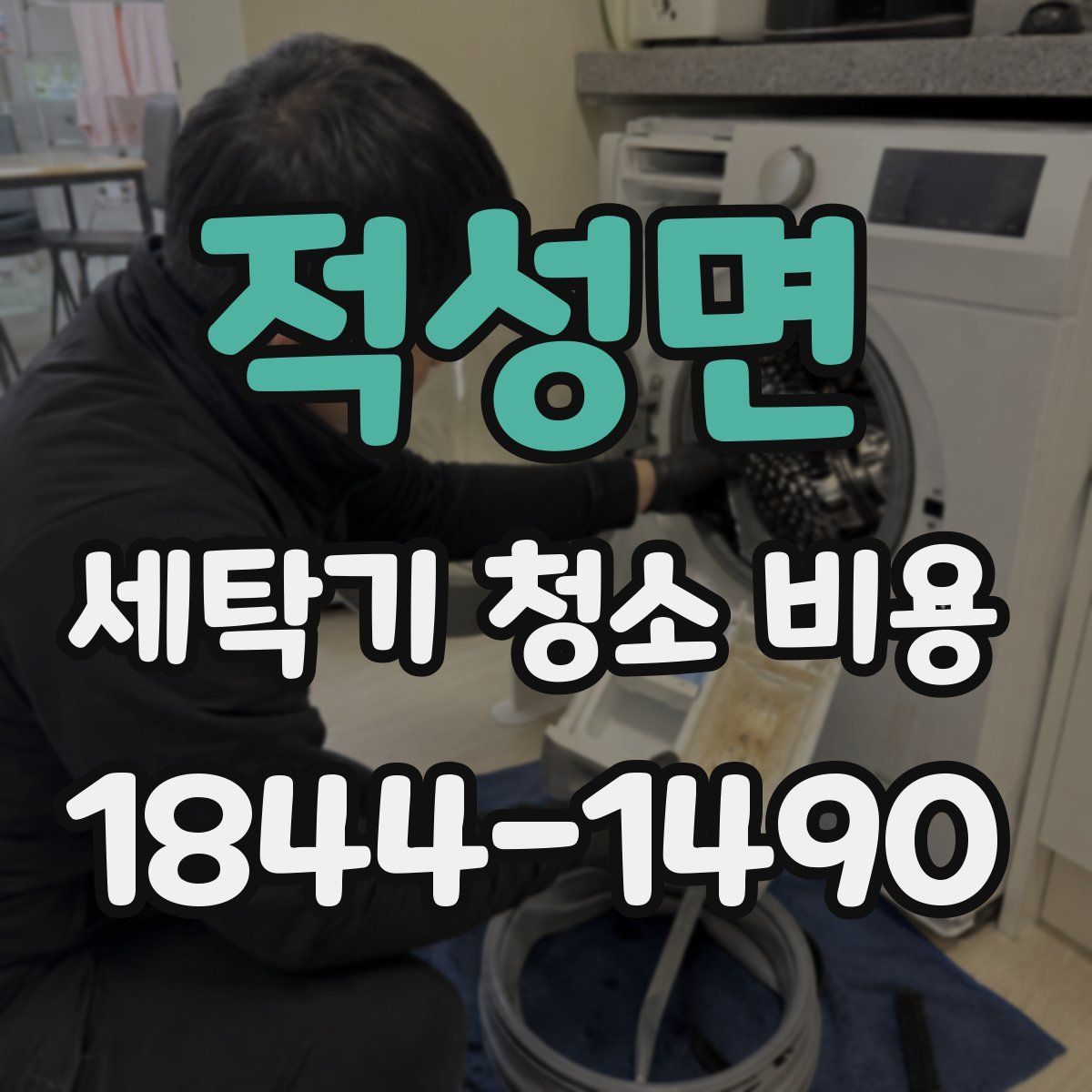 적성면 세탁기 청소 비용