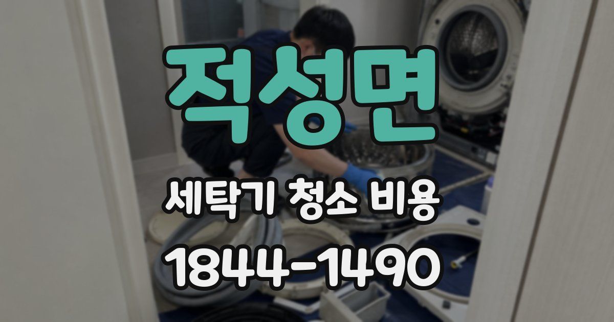 적성면 세탁기 청소 비용