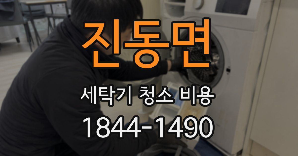 진동면 세탁기 청소 비용
